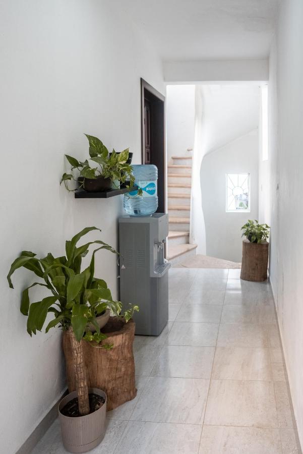 Xiinbal Rooms Bacalar Exterior foto